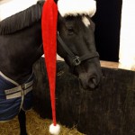 Jultomte