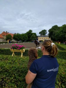 MyNumberOne.se "Uno" på banan med Frankrikes ryttare.